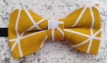 Chlapčenský motýlik, 