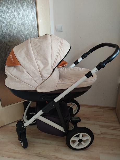 Kočík bexa line, bexa,bexa line