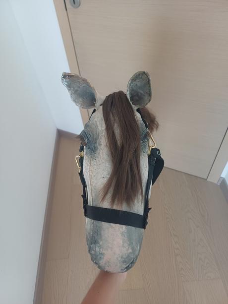 Hobby horse,