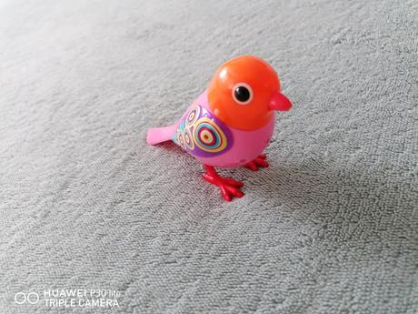 Spievajúci vtáčik, 