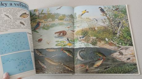 Zázračný svet prírody, 
