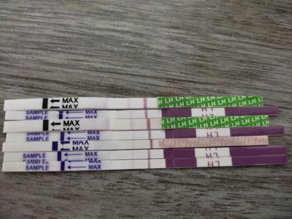 Čo si myslíte o ovulačných testoch?