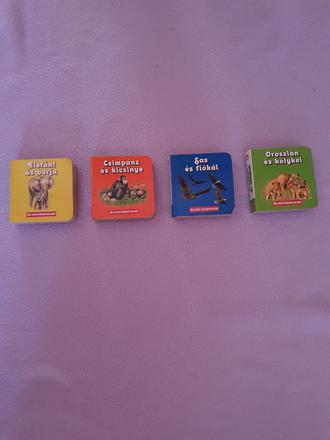 Maďarské knihy zs., 