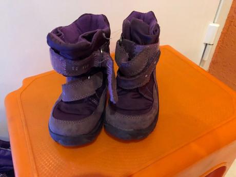 Snehule, elefanten,22