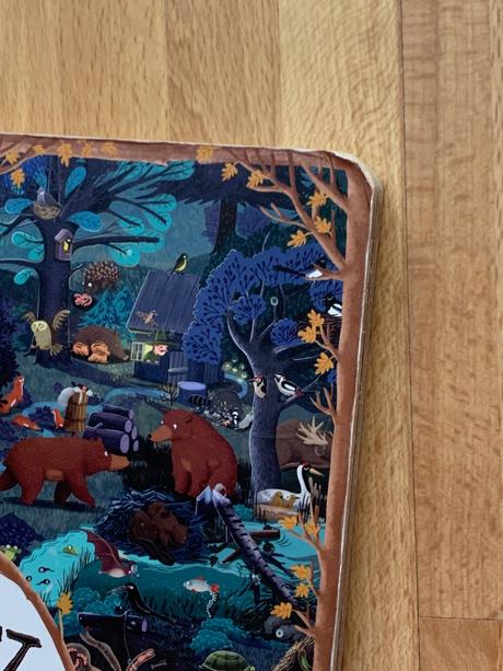 Emilia dziubak - rok v lese, 