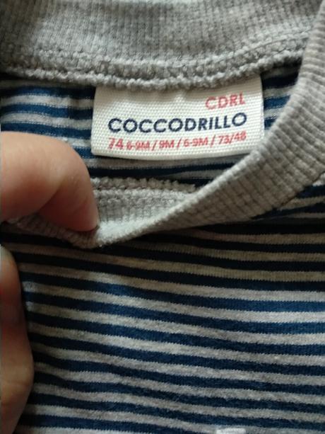Coccodrillo tričko, coccodrillo,74