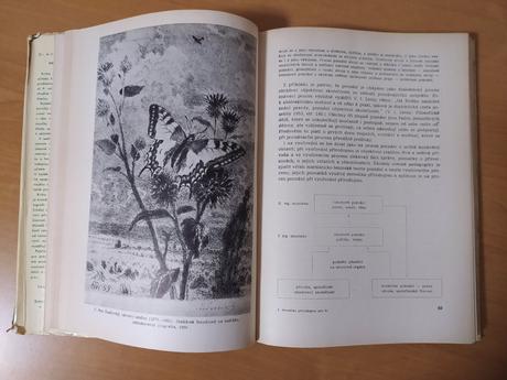 Metodika prírodopisu (1964), 