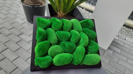 Obraz z kopčekov machu, 