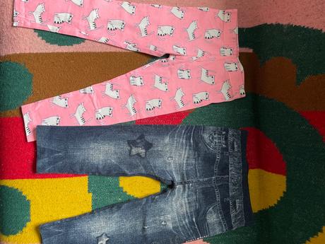 Predam leginy diebcenske trochu oteplene, 92