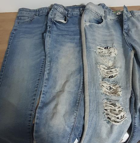 Vesta ovečková, 146