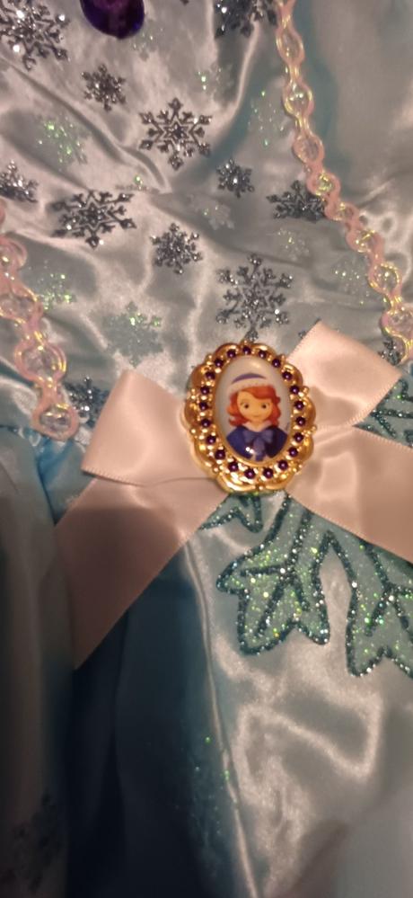 Karnevalový kostým,