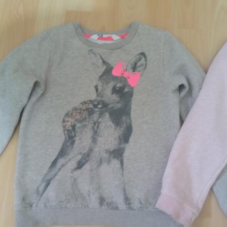 Mikiny 4-6 rokov, h&m,116