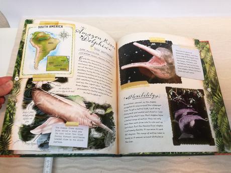 Ultimate expeditions rainforest explorer sp21, 