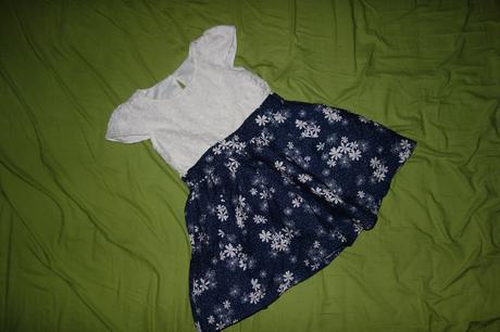 Letne satocky st.bernard, st. bernard,86