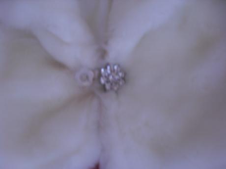 Kožušinková pelerínka, 116