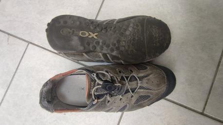 Topánky geox, geox,42