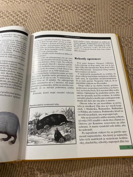 1000 plus 1 slovenských naj švihran ladislav,