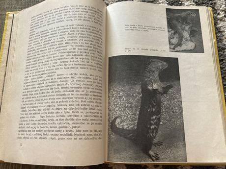 Živé poklady prvé vydanie 1963,