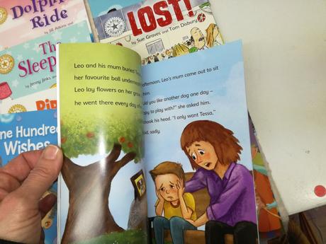 Reading champion - new readers 30 knih nsp20, 