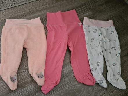 Polodupacky, coccodrillo,62