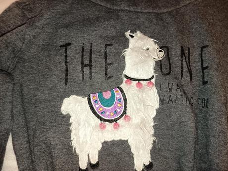 Mikina page one young, 170