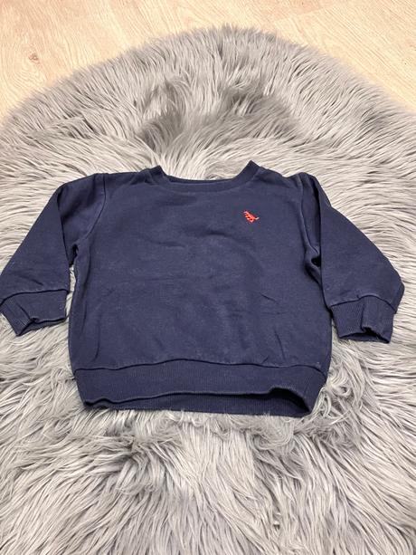 Chlapčenská mikina s dinosaurom (80), next,80