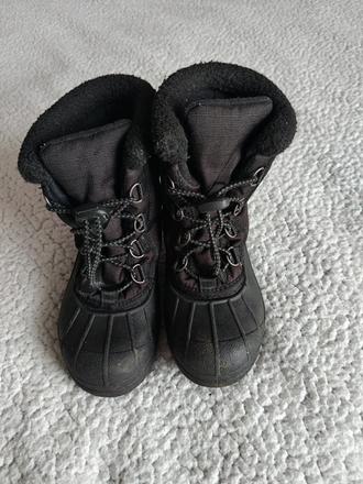 Snehule sorel, sorel,30