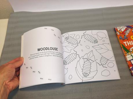 Colour me minibeasts / things that go nsu22,