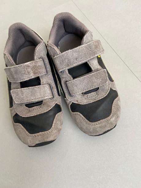 Puma sede 25, puma,25