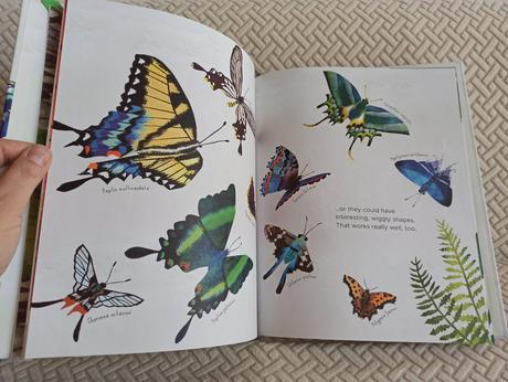 Laura knowles - how to be a butterfly hb, 