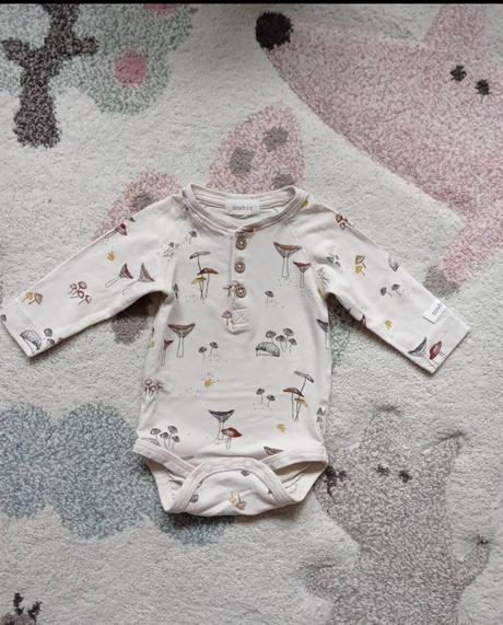 Body newbie hríbiky 62, newbie,62