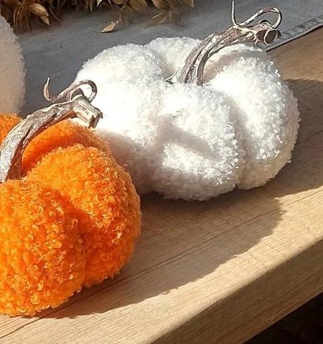 2 ks tekvičky huňaté menšie, 