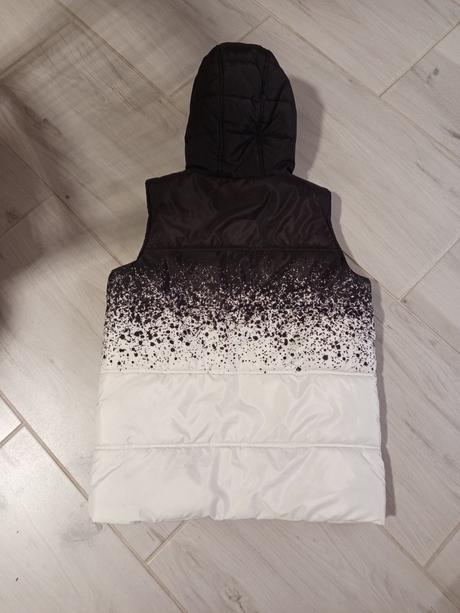 Vesta, chapter young,146