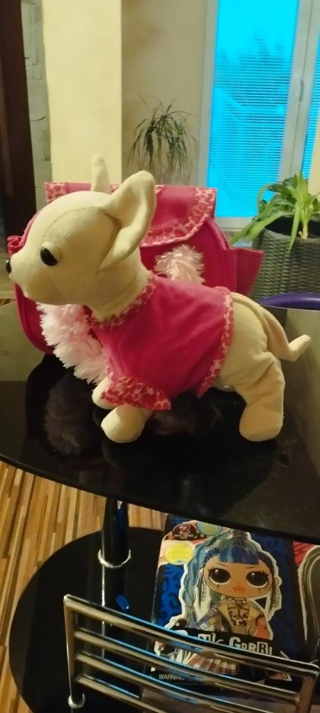 Psík na baterky chichi love,