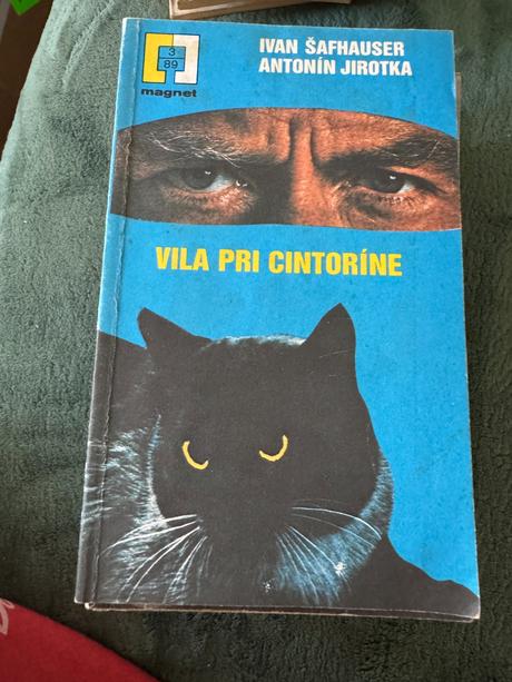 Šafhauser, jirotka. vila pri cintoríne,