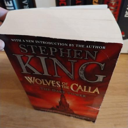 Stephen king - wolves of the calla,