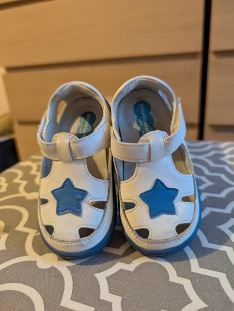 Little blue lamb 21, little blue lamb,21