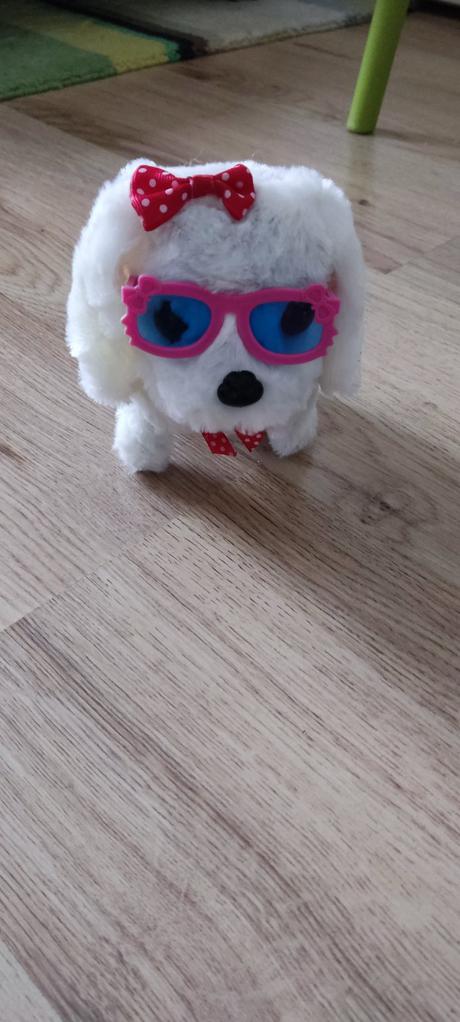 Psík- chodí, šteká, vrtí chvostíkom, 