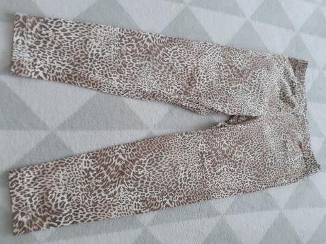 Dievcenske tigrovane leginy, 104