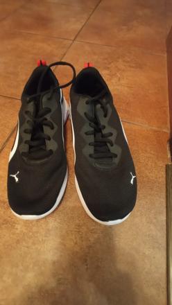 Puma tenisky, puma,37