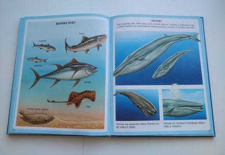 Nové obrázky zvierat, 