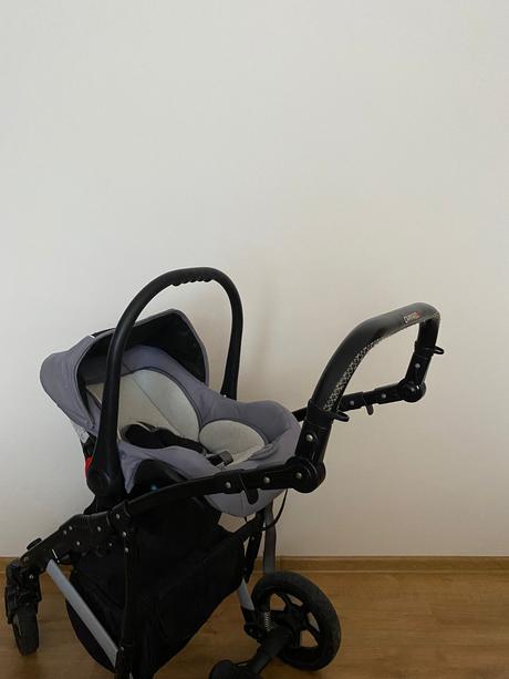 Kočík camarelo, camarelo,camarelo valencia