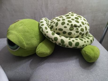 Plyšová korytnačka, 