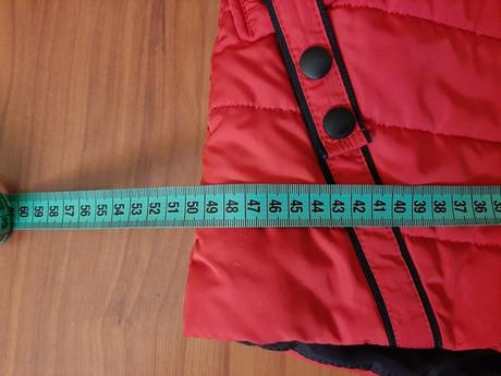 Dievčenská jesenná vetrovka, s