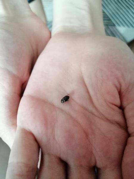 Čo som to našla v posteli?