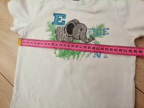 Tričenko, esprit,74