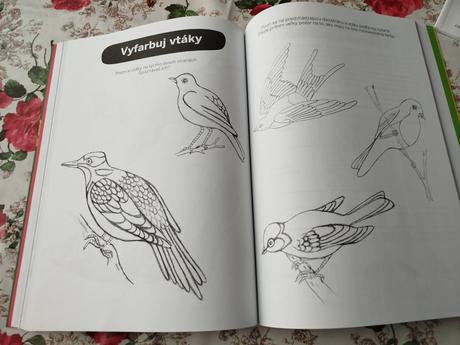 Montessori pracovne zosity,