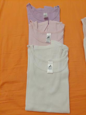 Tielka, palomino,134