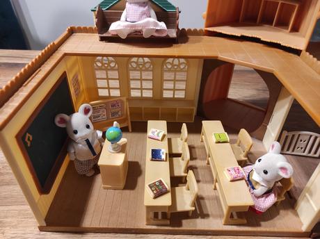 Sylvanian škola, 