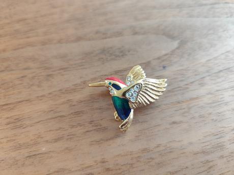 Brošňa kolibrík., 